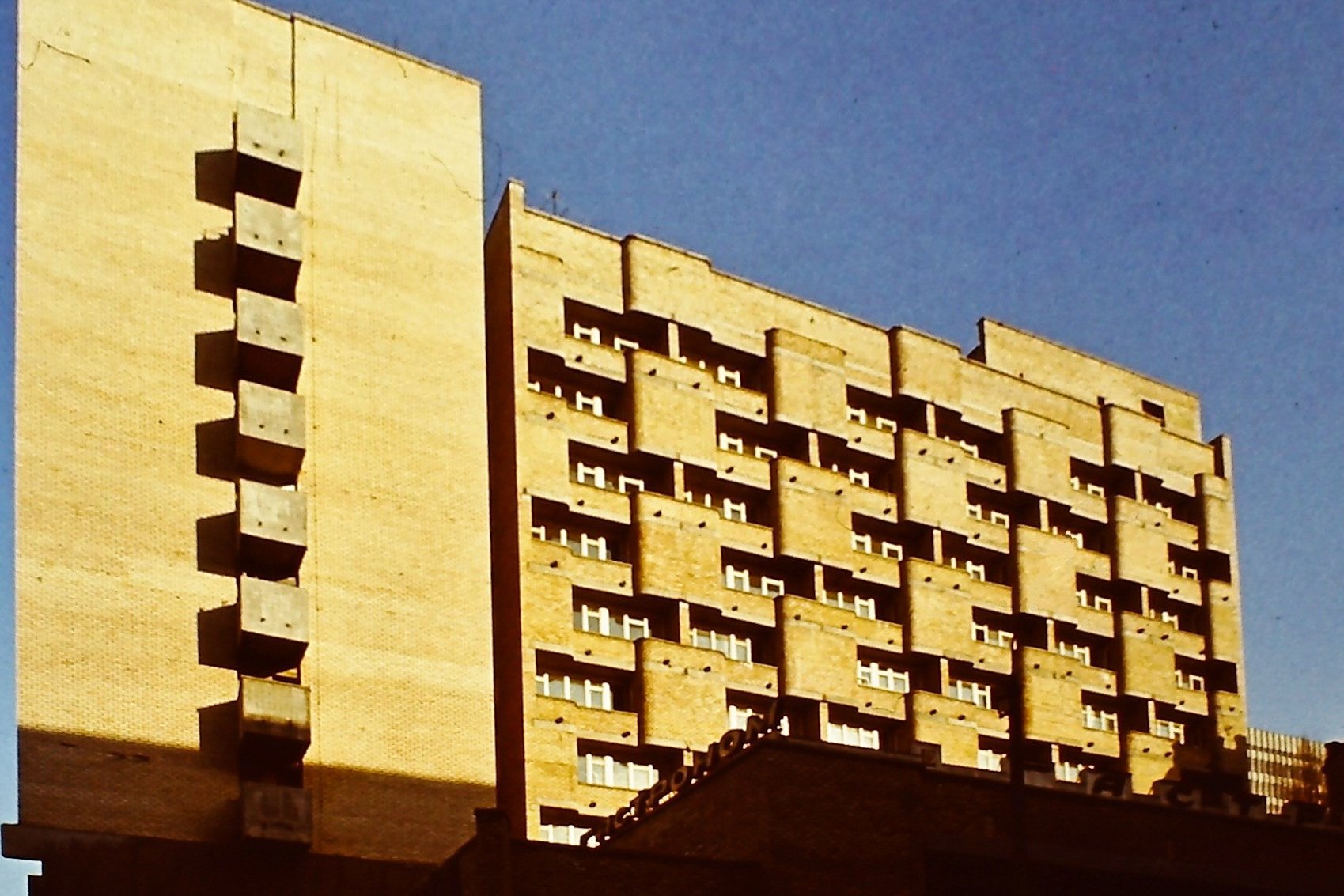 My beautiful picture